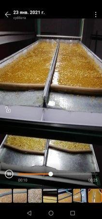 Жаратылыстану пәндерінің қалалық семинары