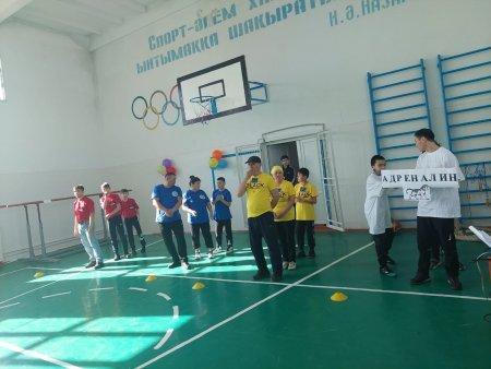 «Салауатты отбасы» атты спорттық жарыс ақпараты