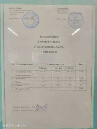 07 Қараша